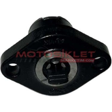 Discovery Tansiyoner