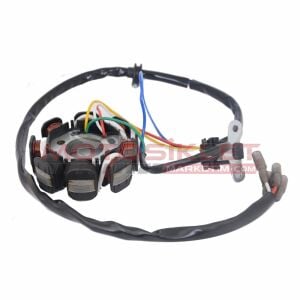 Activa Statör Eski Model 8 Lı