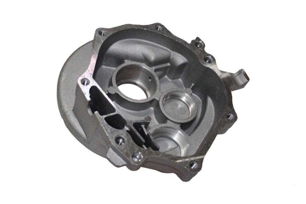 Zenzero Şanzıman Kapağı