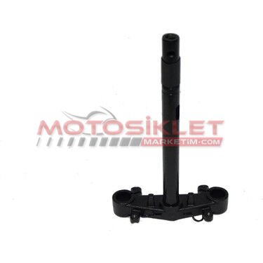 Sct 50 Maşa Blueberry