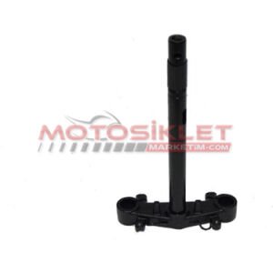 Sct 50 Maşa Blueberry