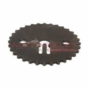 Dio Eksantrik Dişlisi