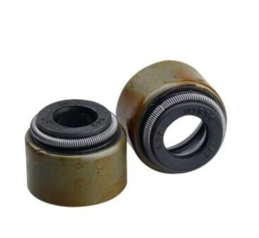 Xmax 250 Subap Lastiği Tk