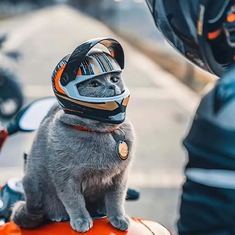 KEDİ KASKI